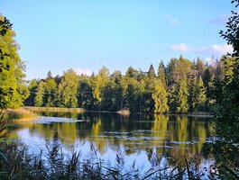 Участок Švenčionių rajono sav., Peršaukštyje