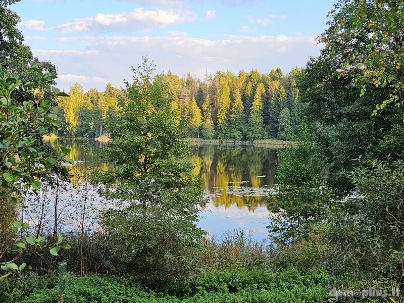 Участок Švenčionių rajono sav., Peršaukštyje