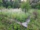 Land for sale Švenčionių rajono sav., Peršaukštyje (7 picture)
