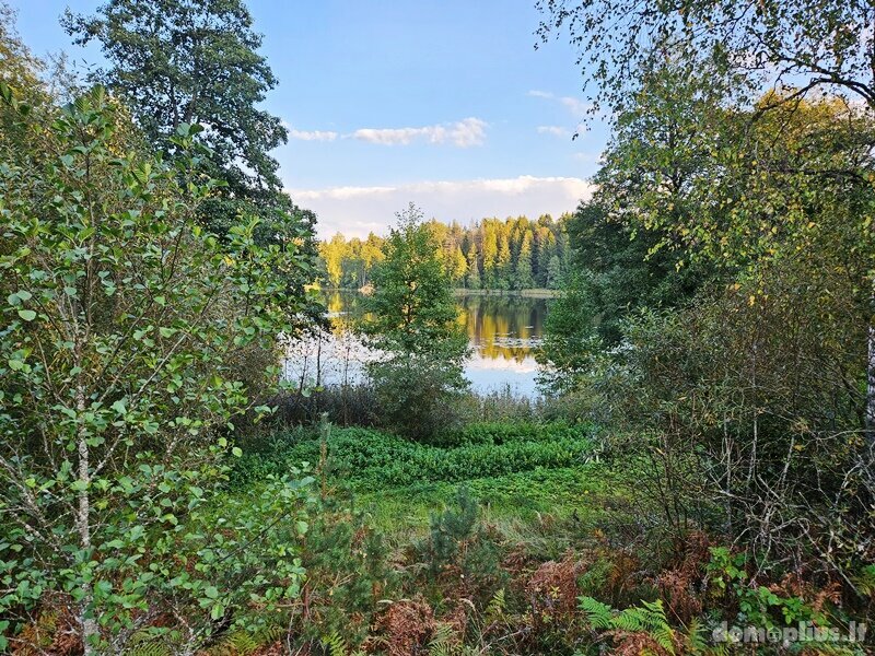 Участок Švenčionių rajono sav., Peršaukštyje