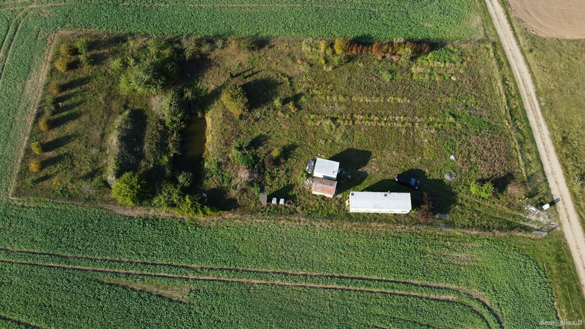 Parduodamas sklypas Alytaus rajono sav., Davainiškėse, Daugų g.