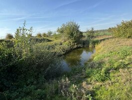 Parduodamas sklypas Alytaus rajono sav., Davainiškėse, Daugų g.