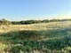 Land for sale Vilniaus rajono sav., Katiliškėse, Didlaukio g. (6 picture)