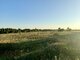 Land for sale Vilniaus rajono sav., Katiliškėse, Didlaukio g. (7 picture)