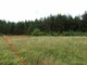 Parduodamas sklypas Druskininkų sav., Viečiūnuose, Senųjų Viečiūnų g. (1 nuotrauka)