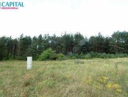 Parduodamas sklypas Druskininkų sav., Viečiūnuose, Senųjų Viečiūnų g.