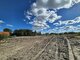 Land for sale Klaipėdos rajono sav., Kalotėje (6 picture)