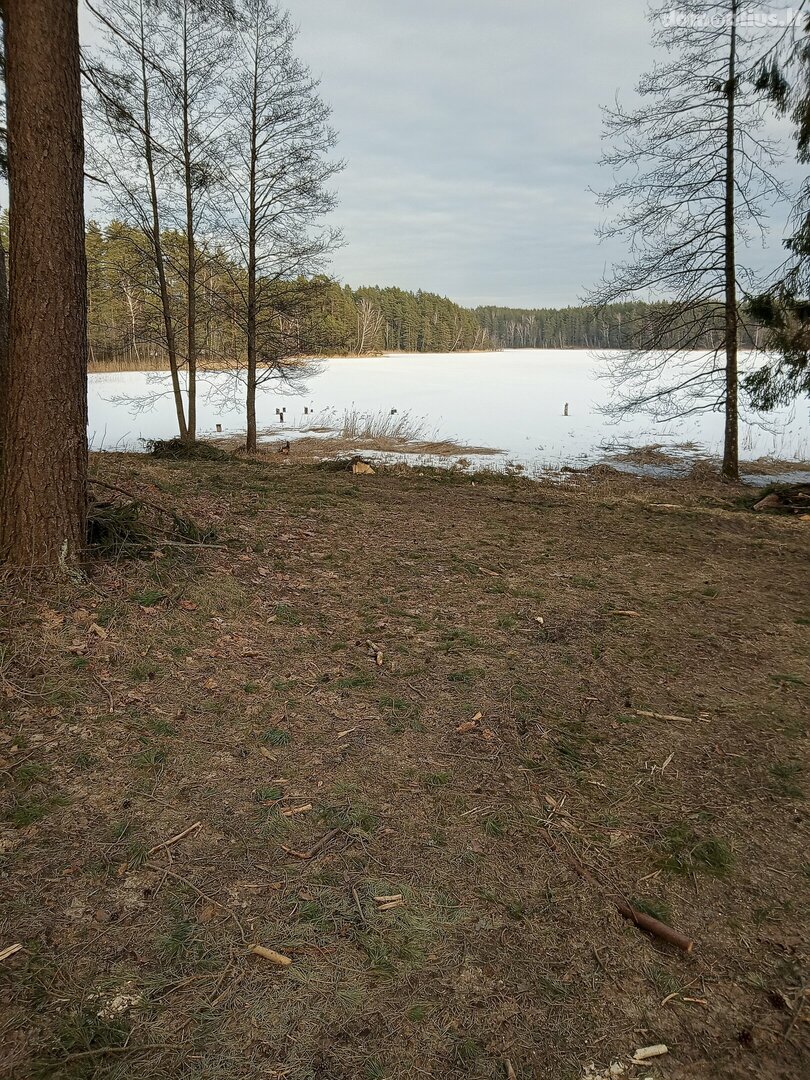 Parduodamas sklypas Molėtų rajono sav., Damošiškėse