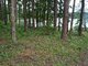 Land for sale Molėtų rajono sav., Damošiškėse (2 picture)