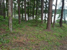 Parduodamas sklypas Molėtų rajono sav., Damošiškėse