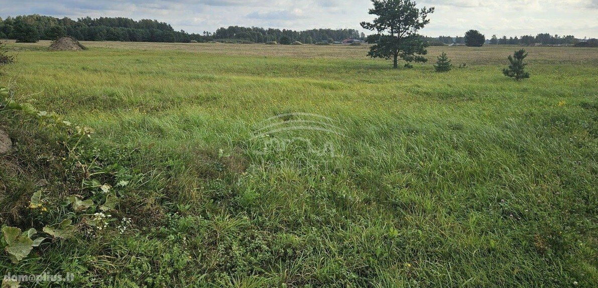 Участок Klaipėdos rajono sav., Radailiuose