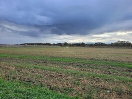 Sklypas Klaipėdos rajono sav., Drevernoje, Reisinių g.