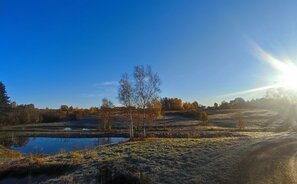 Land Anykščių rajono sav., Mačionyse, Mačionių g.