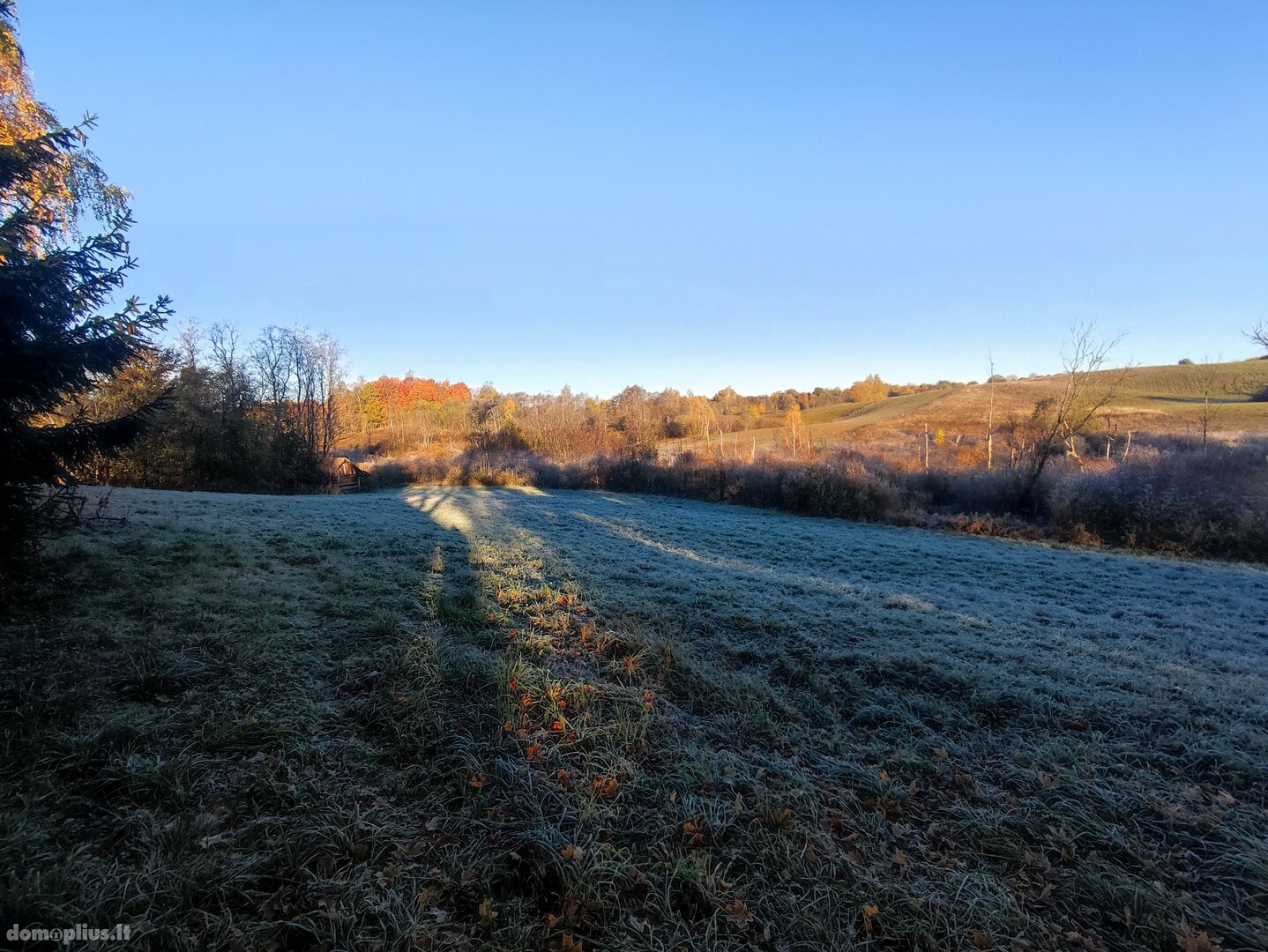 Parduodamas sklypas Anykščių rajono sav., Mačionyse, Mačionių g.