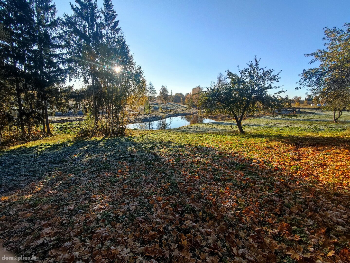 Parduodamas sklypas Anykščių rajono sav., Mačionyse, Mačionių g.