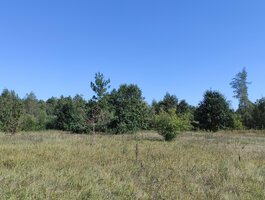Sklypas Kupiškio rajono sav., Paviešintyje