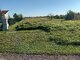 Участок Klaipėdos rajono sav., Kiškėnuose (4 Фотография)