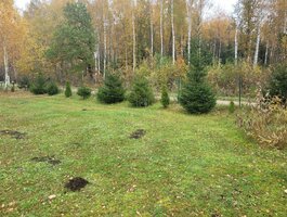 Land for sale Klaipėdos rajono sav.
