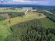 Land for sale Vilniaus rajono sav. (2 picture)