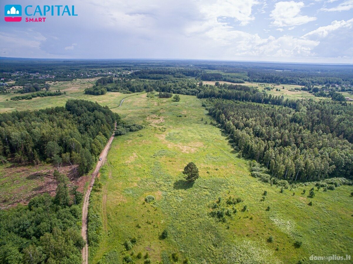 Land for sale Vilniaus rajono sav.