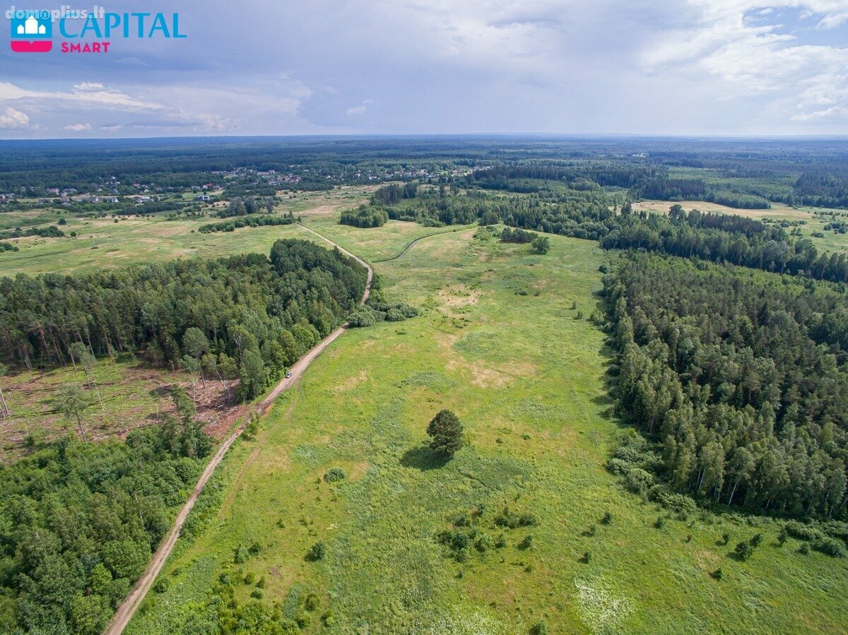 Land for sale Vilniaus rajono sav.