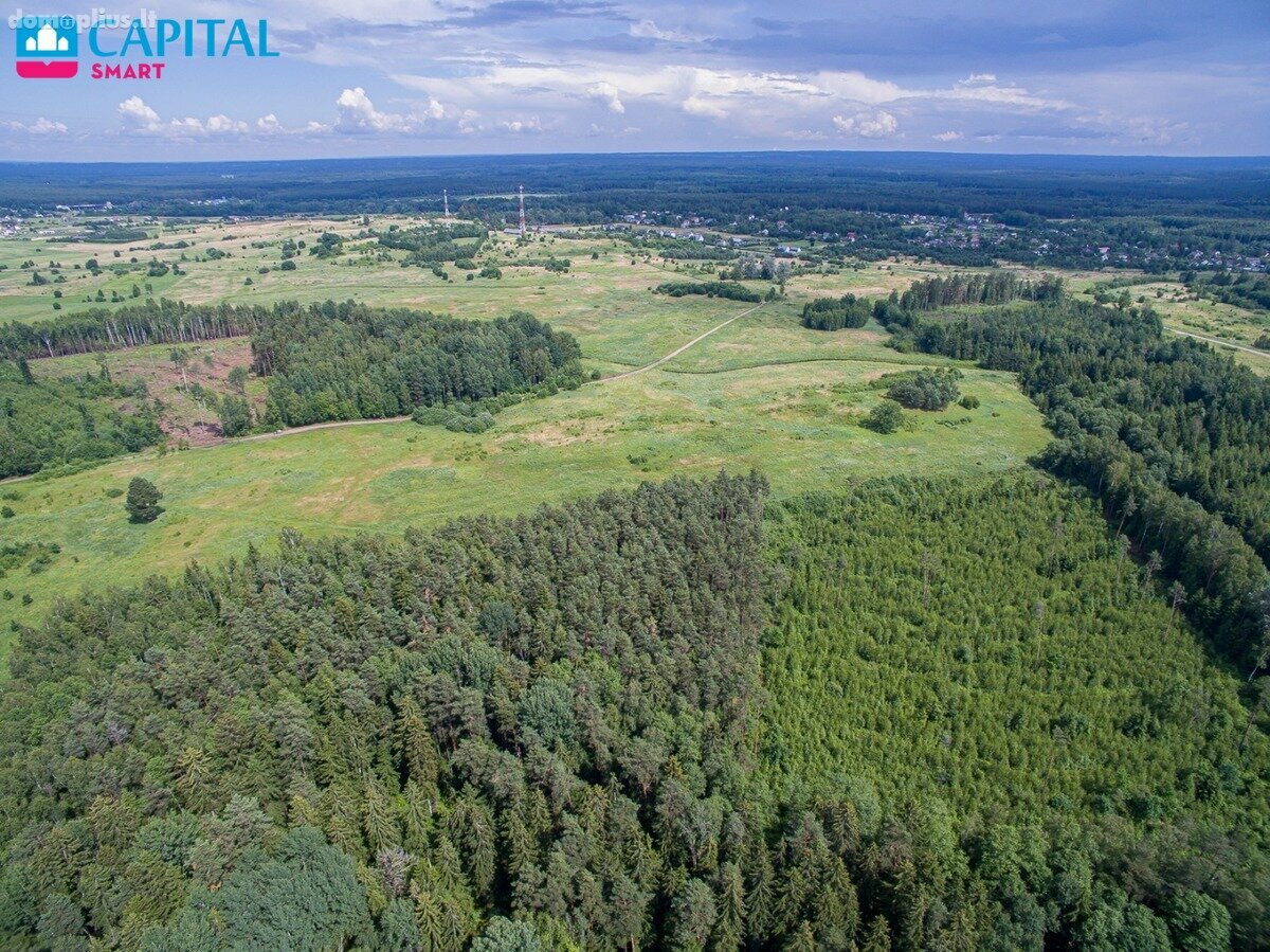 Land for sale Vilniaus rajono sav.