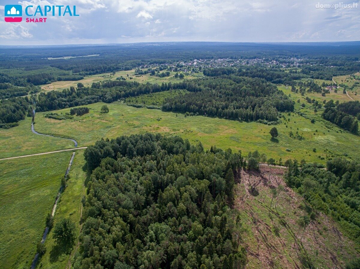 Land for sale Vilniaus rajono sav.