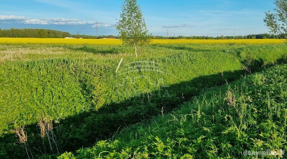 Parduodamas sklypas Klaipėdos rajono sav., Kuliškiuose