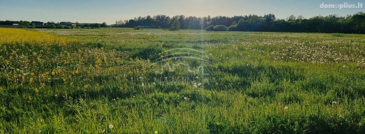 Parduodamas sklypas Klaipėdos rajono sav., Kuliškiuose