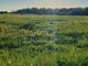Land for sale Klaipėdos rajono sav., Kuliškiuose (3 picture)