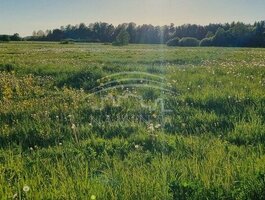 Parduodamas sklypas Klaipėdos rajono sav., Kuliškiuose