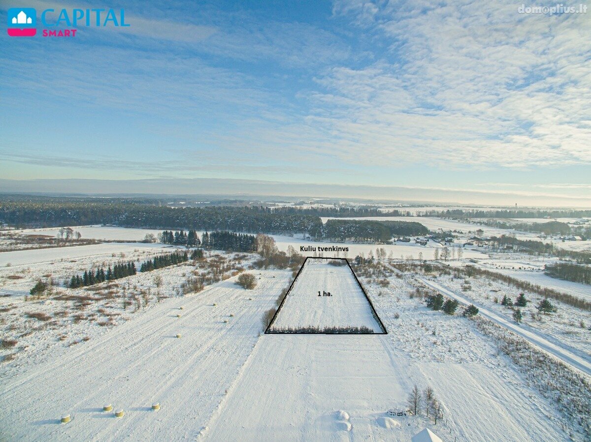 Land for sale Vilniaus rajono sav., Kūliuose
