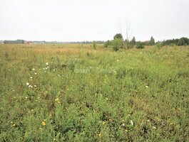 Parduodamas sklypas Klaipėdos rajono sav., Radailiuose, Sodų g.