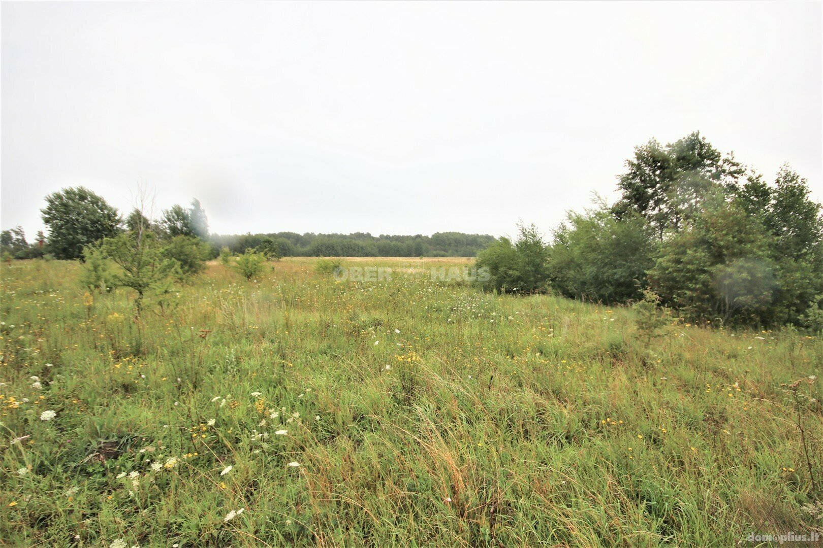 Parduodamas sklypas Klaipėdos rajono sav., Radailiuose, Sodų g.