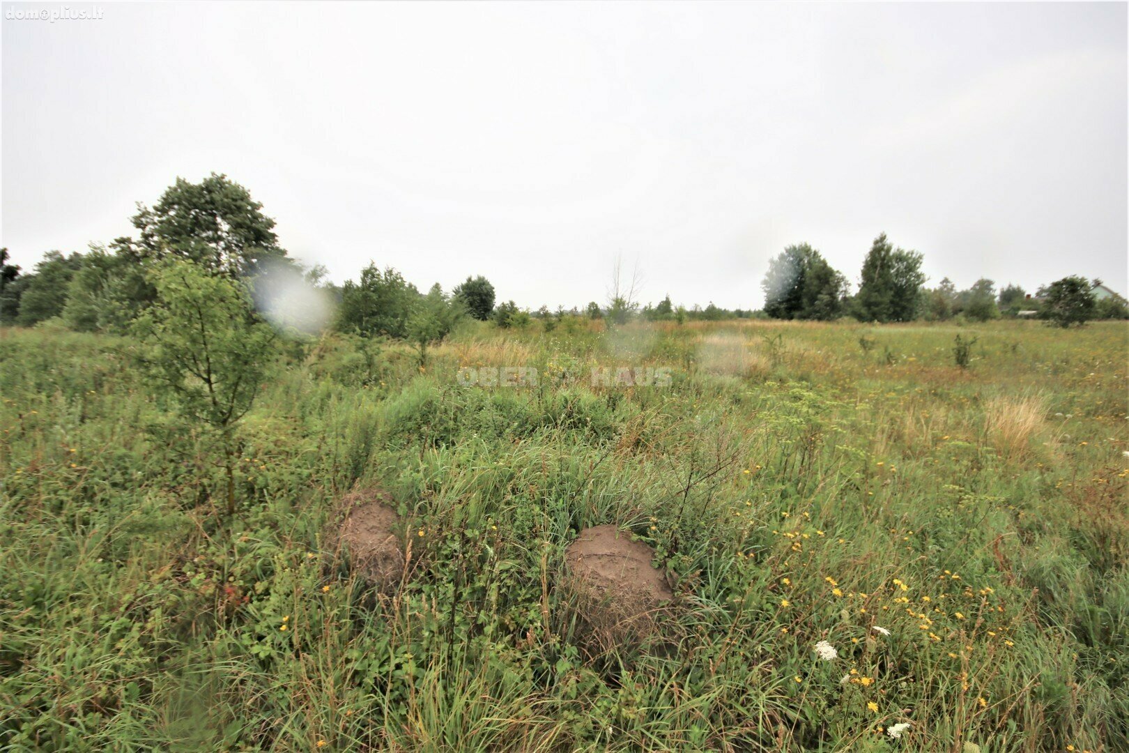Parduodamas sklypas Klaipėdos rajono sav., Radailiuose, Sodų g.
