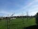 Land for sale Klaipėdos rajono sav., Dargužiuose (17 picture)