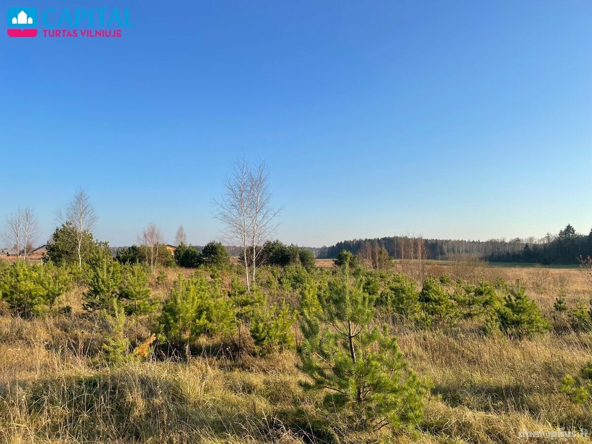 Parduodamas sklypas Vilniaus rajono sav., Mickūnuose, Dėdoniškių g.