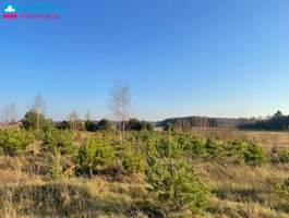 Sklypas Vilniaus rajono sav., Mickūnuose, Dėdoniškių g.