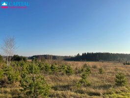 Parduodamas sklypas Vilniaus rajono sav., Mickūnuose, Dėdoniškių g.