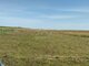 Land for sale Kretingos rajono sav., Kiauleikiuose (2 picture)