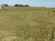 Land for sale Kretingos rajono sav., Kiauleikiuose (3 picture)