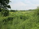 Land for sale Klaipėdos rajono sav., Kalniškėje (7 picture)