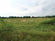 Land for sale Klaipėdos rajono sav., Kalniškėje (11 picture)
