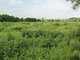 Land for sale Klaipėdos rajono sav., Kalniškėje (12 picture)