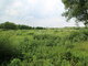 Land for sale Klaipėdos rajono sav., Kalniškėje (13 picture)
