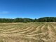 Parduodamas sklypas Klaipėdos rajono sav., Pangesuose (8 nuotrauka)