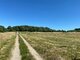 Parduodamas sklypas Klaipėdos rajono sav., Pangesuose (9 nuotrauka)