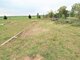 Land for sale Klaipėdos rajono sav. (15 picture)