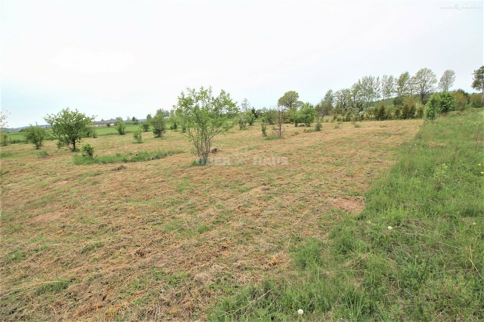 Land for sale Klaipėdos rajono sav.