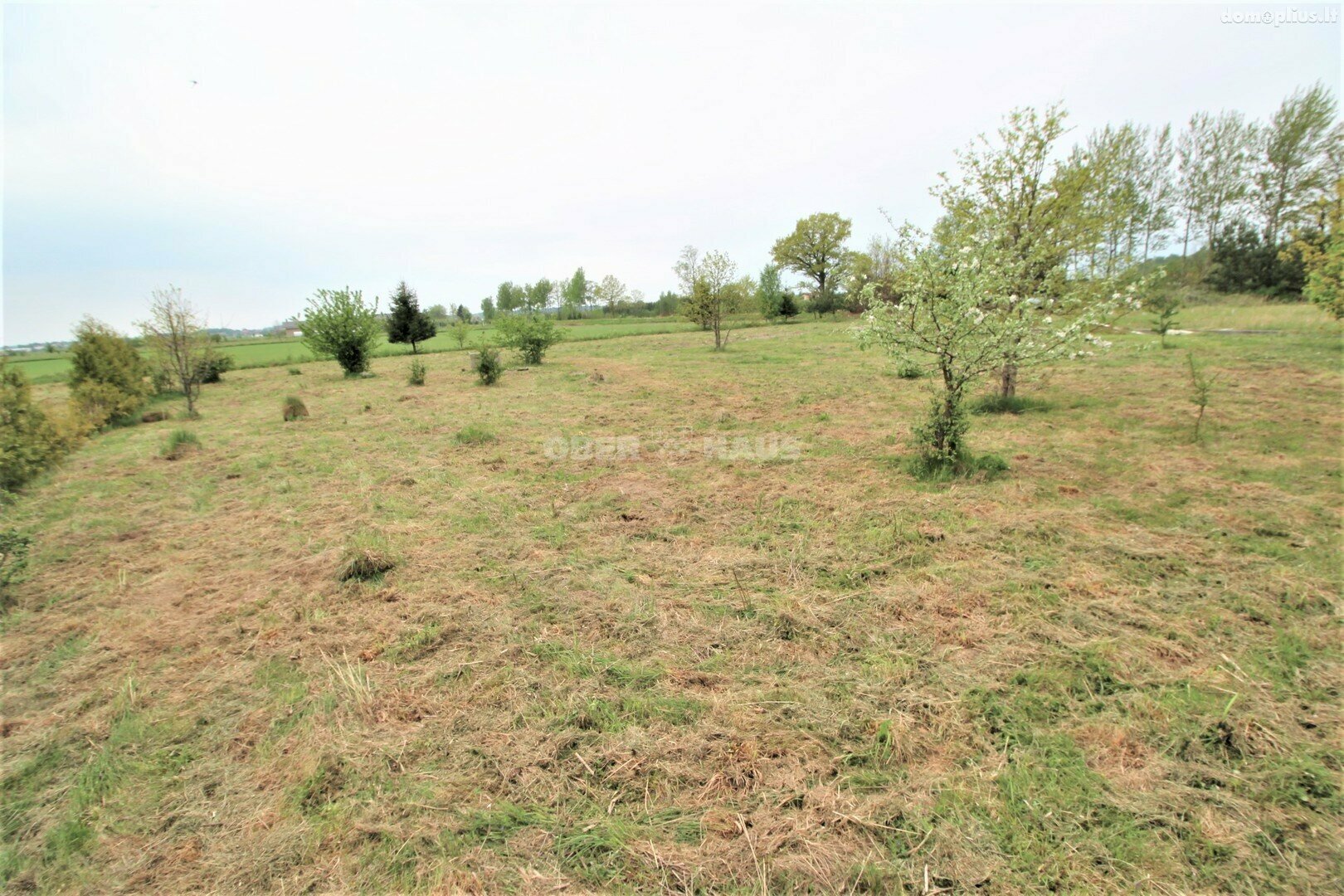 Land for sale Klaipėdos rajono sav.